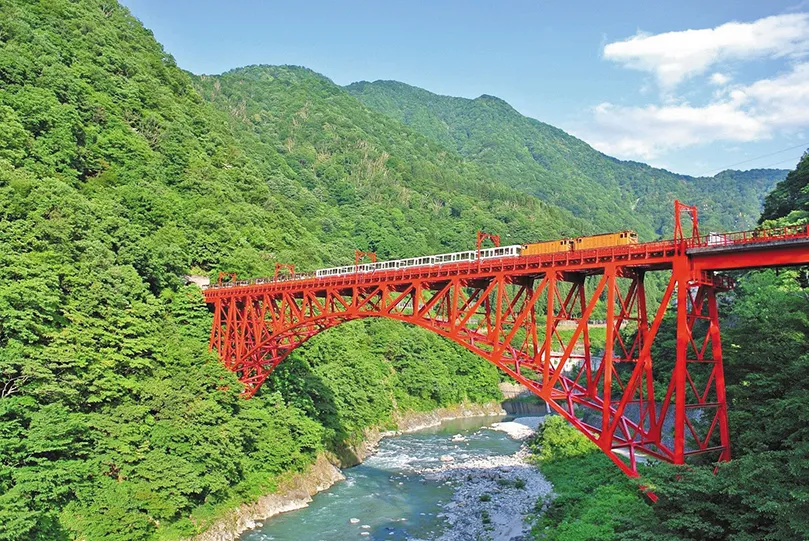 トロッコ列車ならではの窓のない絶景を楽しめます（イメージ）