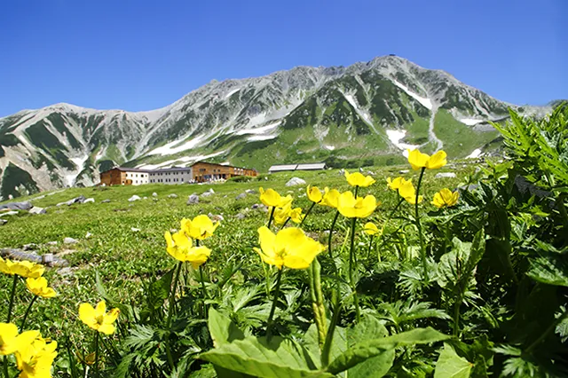 の室堂（イメージ）