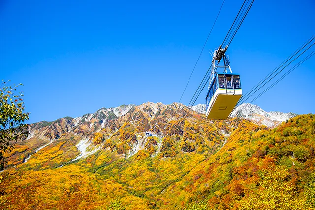 立山ロープウェイ(イメージ)紅葉の見頃(例年):9月中旬~10月上旬