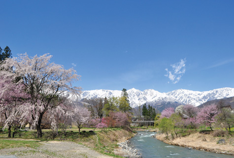 大出公園(イメージ)