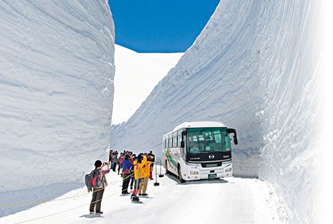 雪の大谷ウォーク<br>「雪の大谷」の雪渓の高さは積雪の状況により毎年異なります。
