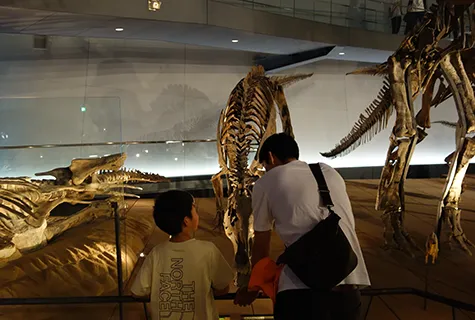 恐竜博物館をじっくり見学！