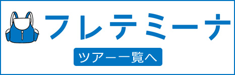 フレテミーナツアー 一覧一般のお客様はこちら