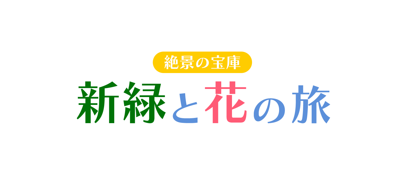 新緑と花の旅～木々の緑・色とりどりの花々が目にまぶしい～