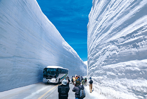 雪の大谷ウォーク（イメージ）　写真提供立山黒部アルペンルート