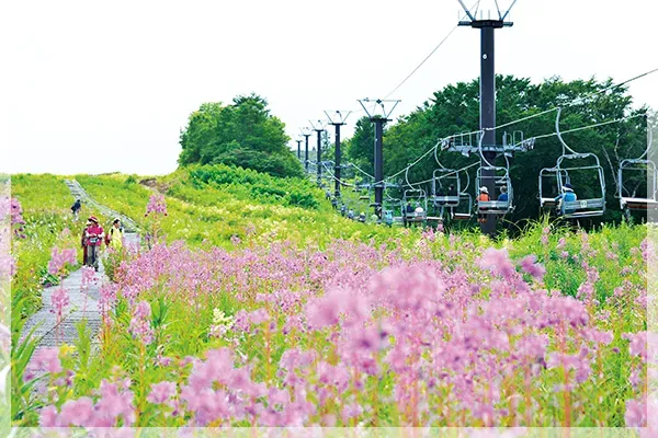 白馬五竜（イメージ）