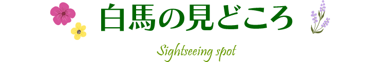 白馬の見どころ