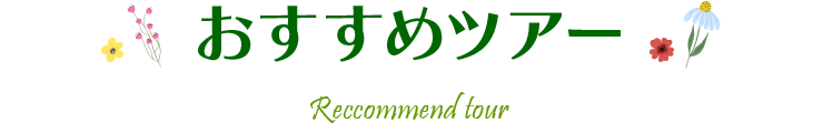 おすすめツアー