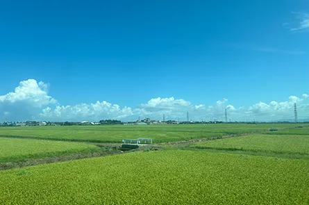 田園風景