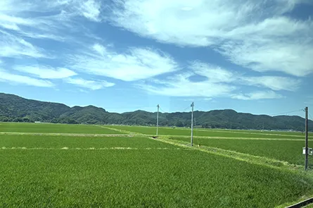 田園風景
