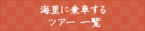 海里ツアー 一覧はこちら