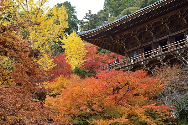 書冩山圓教寺（イメージ）　紅葉の見頃（例年）：11月上旬～下旬