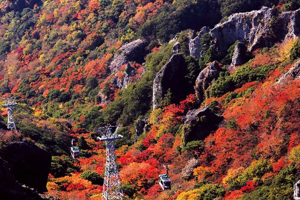 寒霞渓(イメージ) 紅葉の見頃(例年)：11月上旬～12月上旬 写真提供：小豆島総合開発株式会社