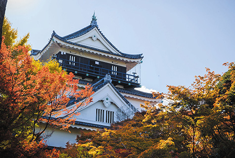 岡崎城（イメージ） 紅葉の見頃（例年）：11月下旬〜12月上旬
