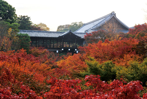 東福寺・通天橋とモミジ谷（イメージ）　紅葉の見頃（例年）：11月中旬～12月上旬