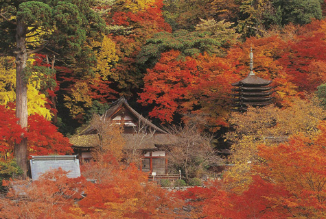 談山神社(イメージ)