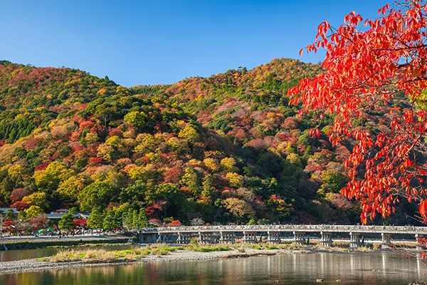 渡月橋