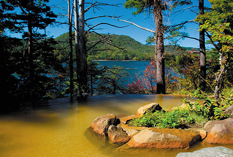 裏磐梯レイクリゾート 五色の森・露天風呂の一例