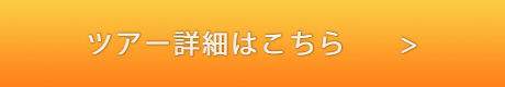 ツアー詳細はこちら