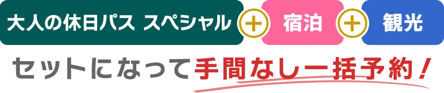 大人の休日パス　スペシャル+宿泊+観光がセットになって手間なし一括予約！