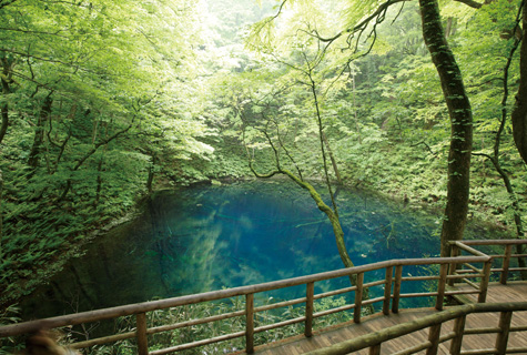 十二湖・青池(イメージ)