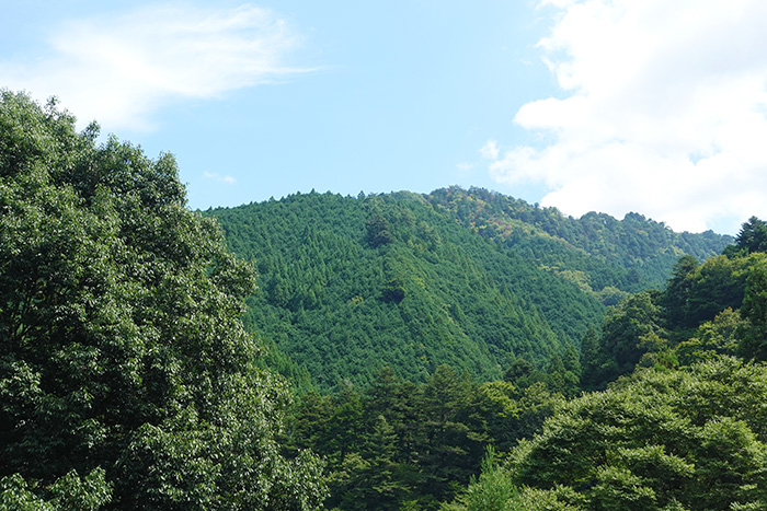 都内なのに意外と遠かった奥多摩
