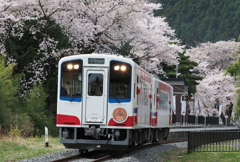 三陸鉄道の桜(イメージ)