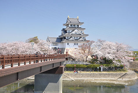 墨俣一夜城（イメージ） 桜の見頃（例年）：3月下旬～4月上旬