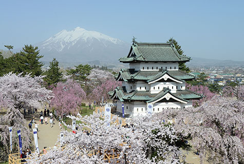 弘前公園（イメージ） 桜の見頃（例年）：4月下旬〜5月上旬