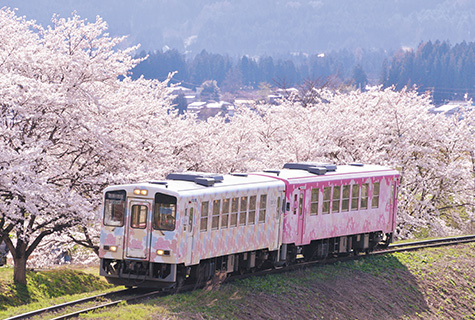 フラワー長井線（イメージ）　桜の見頃(例年)：4月中旬～下旬