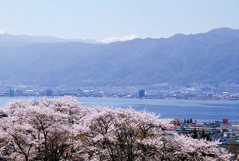 水月公園（イメージ） 桜の見頃(例年)：４月中旬