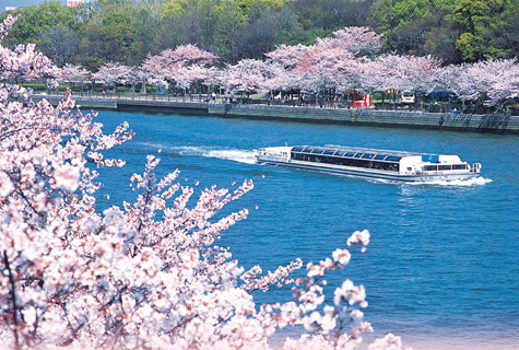 大阪運河クルーズ（イメージ）　※桜の見頃（例年）：4月上旬〜中旬