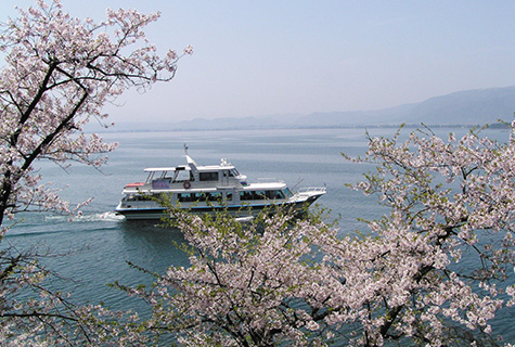 海津大崎「お花見クルーズ」（イメージ） 桜の見頃（例年）：4月上旬～中旬 写真提供：（公社）びわこビジターズビューロー