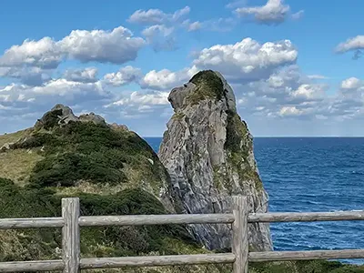 猿岩(イメージ)