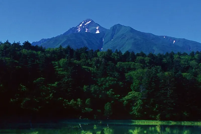 姫沼から見る利尻富士（イメージ）