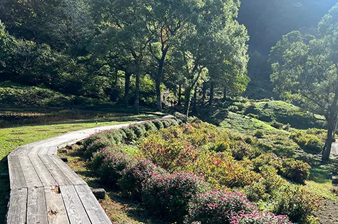 あやめヶ池の遊歩道