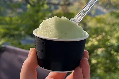 季節限定「マスカット」ジェラート