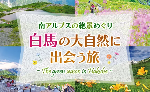 白馬