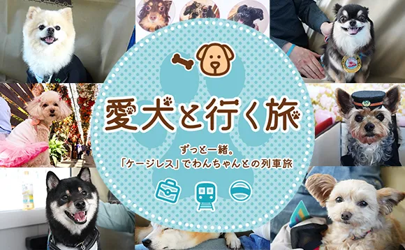 愛犬と行く旅 ～ずっと一緒。「ケージレス」でわんちゃんとの列車旅～
