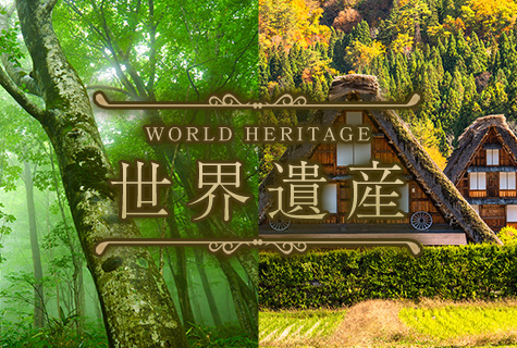 世界遺産　～WORLD HERITAGE～