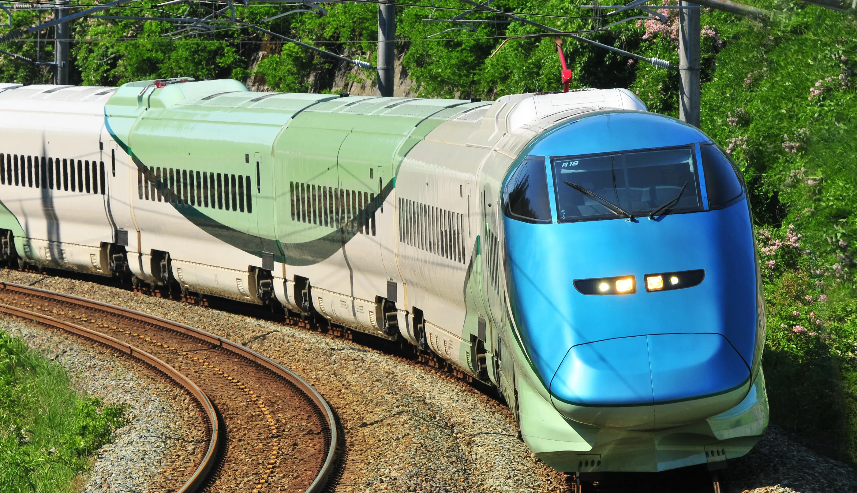 乗るだけで山形の魅力に浸れるリゾート列車。「とれいゆ つばさ