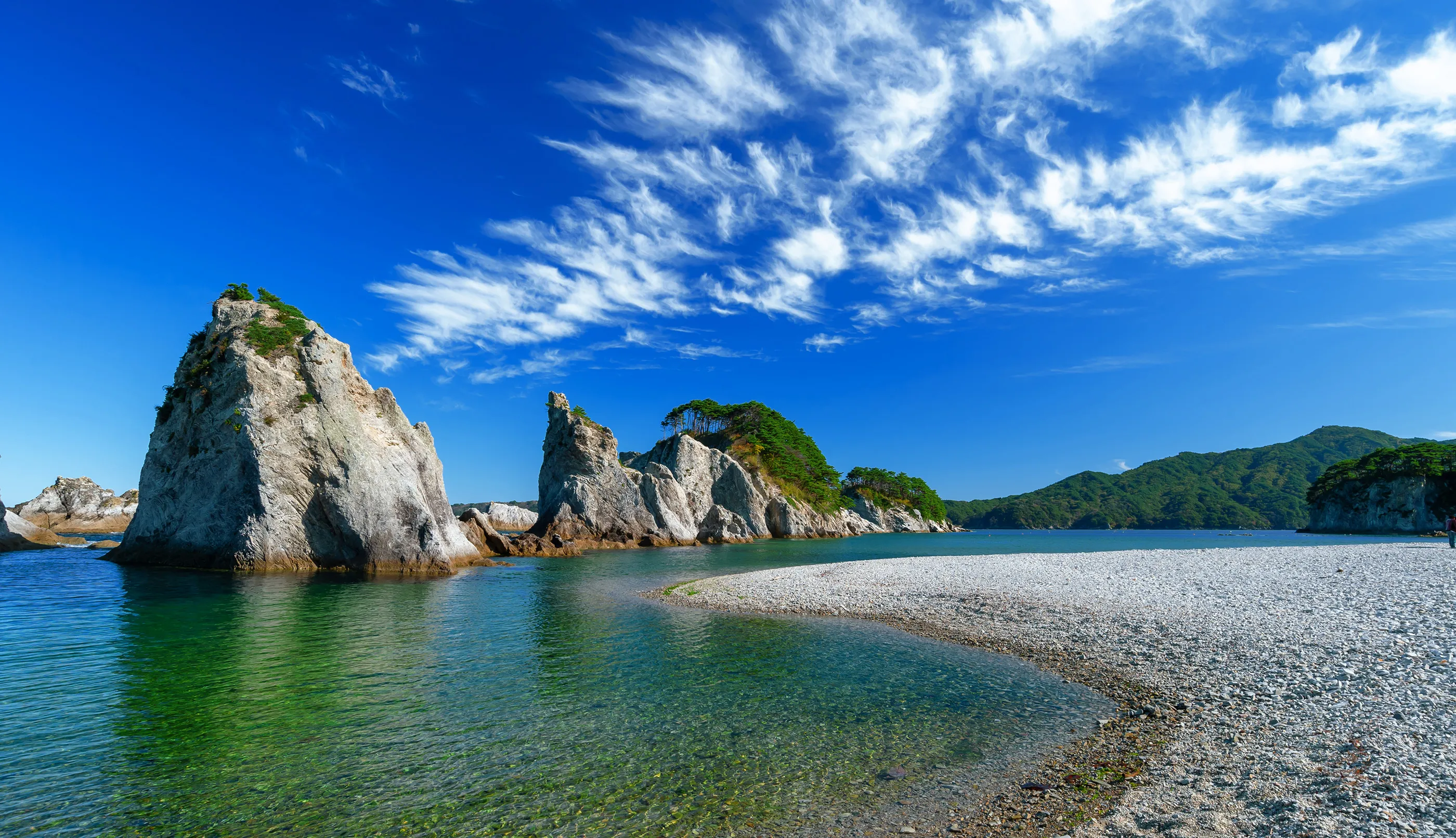 浜ちゃんと土人 オリジナル】ちゃんと土が入った園芸用土 60リットル（15L×4袋） 園芸
