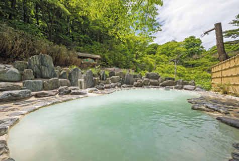 野地温泉ホテル・鬼面の湯（イメージ）
