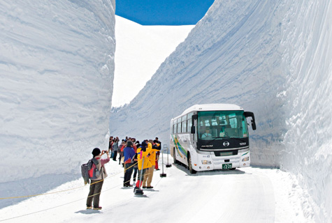 雪の大谷ウォーク（イメージ） ※「雪の大谷」の雪壁の高さは積雪の状況により毎年異なります。