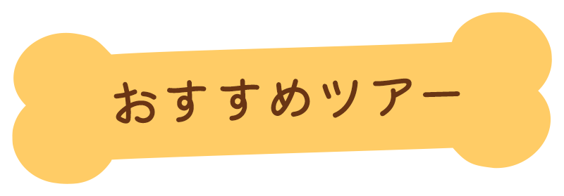 おすすめツアー