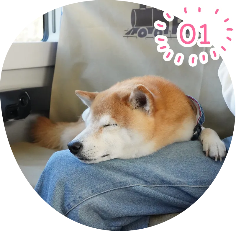 愛犬と「ケージレス」で楽しむ「わんちゃん専用貸切列車」