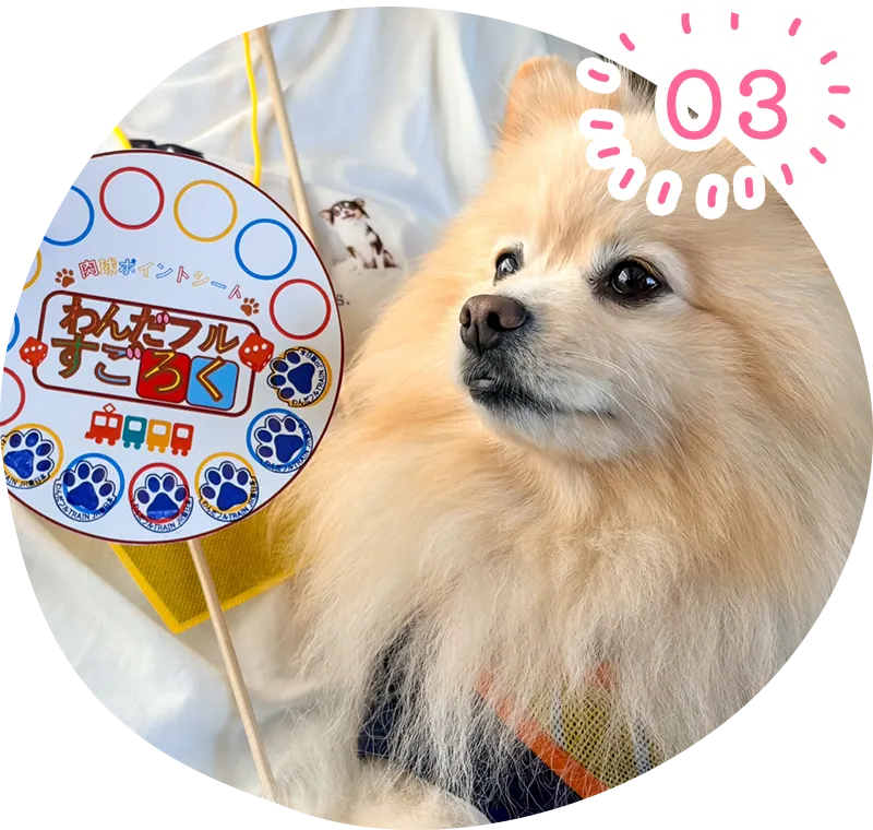 愛犬と一緒に楽しめる車内イベント