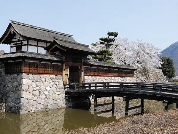 松代城跡（イメージ）　桜の見頃(例年)：４月上旬～中旬