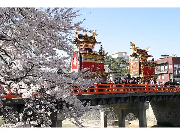 春の高山祭・屋台曳き揃え（イメージ）　桜の見頃(例年)：４月中旬～下旬　写真提供：高山市