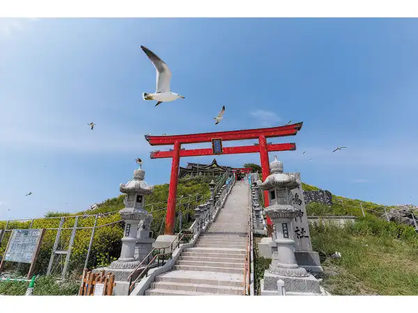 商品画像
